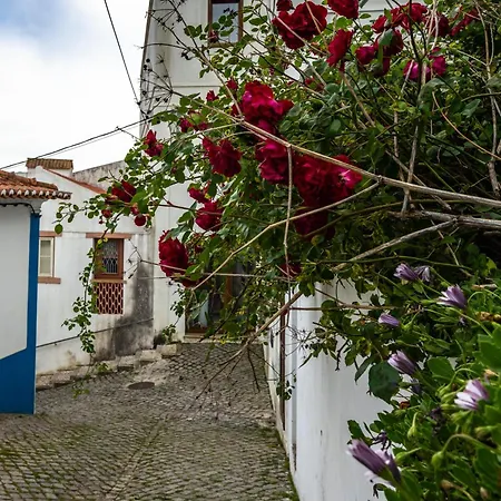 Casa Azul - Town